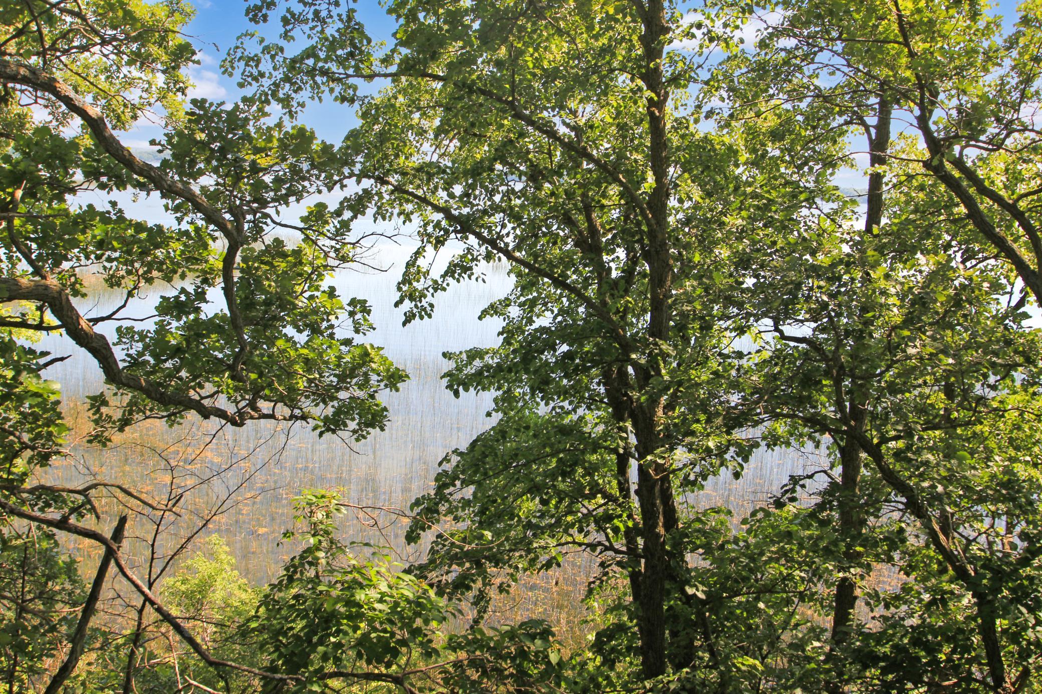 Land view shoreline from top of bluff