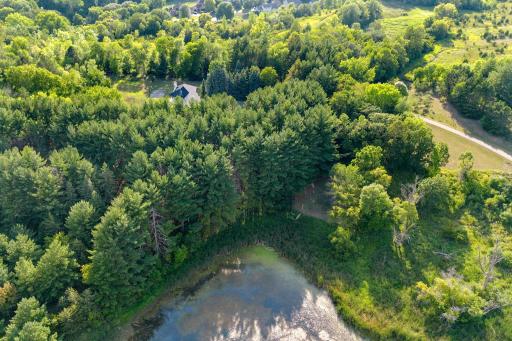 115-web-or-mls-1680 W Farm Rd Print-113.jpg