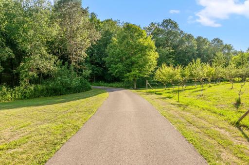 6-web-or-mls-1680 W Farm Rd Print-108.jpg