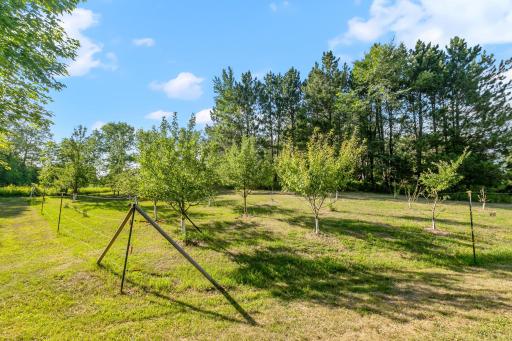 7-web-or-mls-1680 W Farm Rd Print-105.jpg