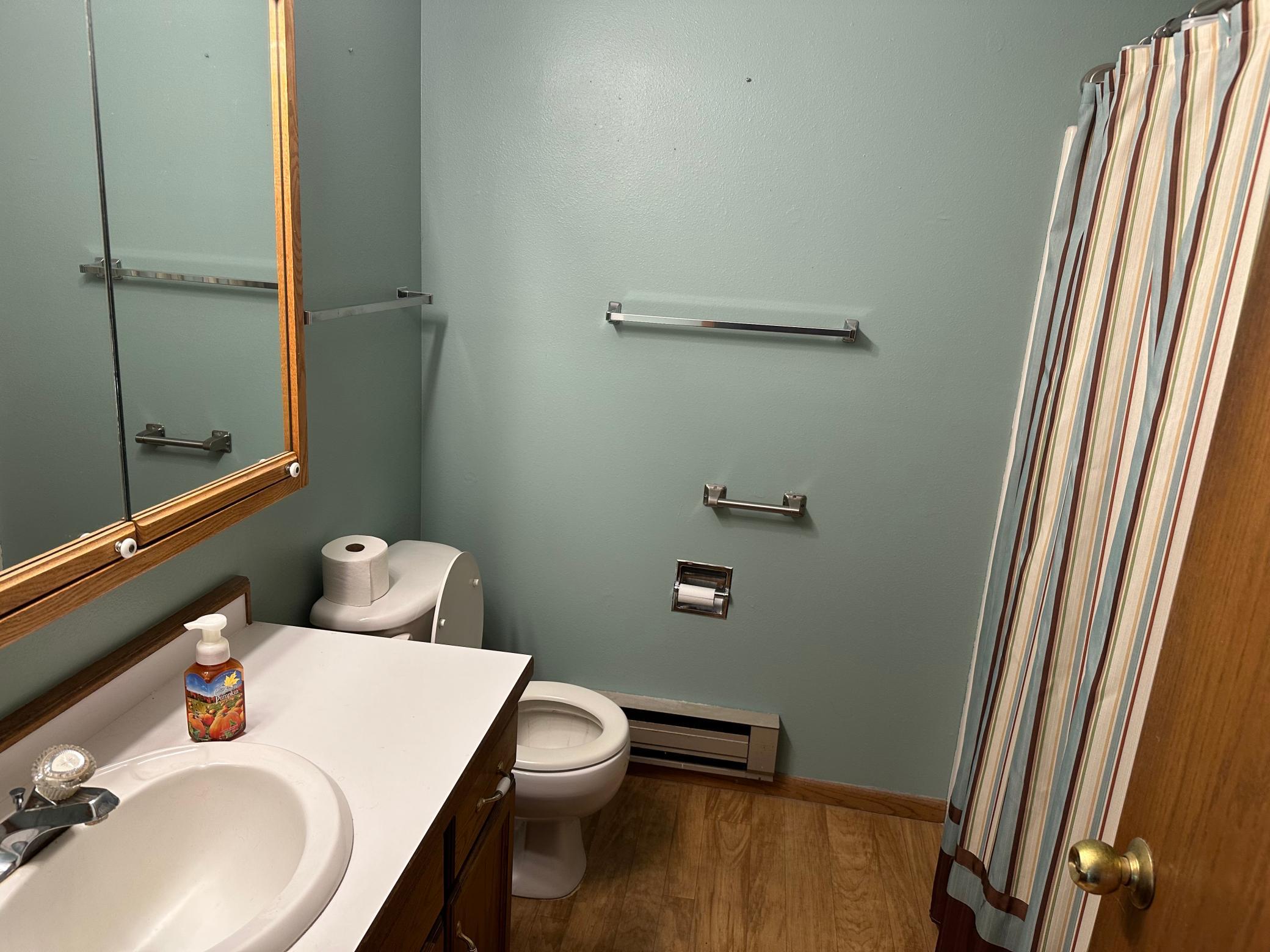 Half Bath off Primary.jpg