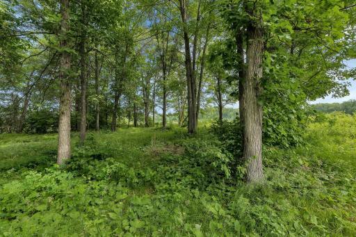 Photo for 18208 Sleepy Trail, Ironton, MN 56455 - Listing #6413695 18208 Sleepy Trail, Ironton, MN 56455