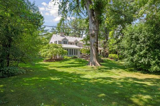 Backyard is much larger than you would expect