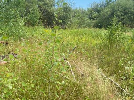 Photo for 19505 State Hwy 210, Mcgregor, MN 55760 - Listing #6415627 19505 State Hwy 210, Mcgregor, MN 55760