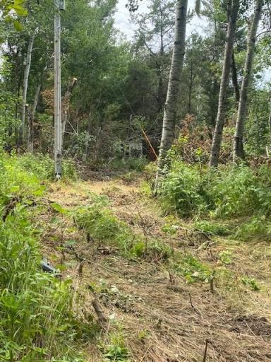 Photo for 19505 State Hwy 210, Mcgregor, MN 55760 - Listing #6415627 19505 State Hwy 210, Mcgregor, MN 55760