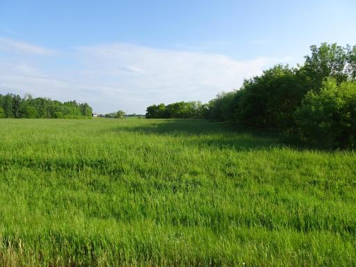 Lot 19 148th Ave, Balsam Lake, WI 54810