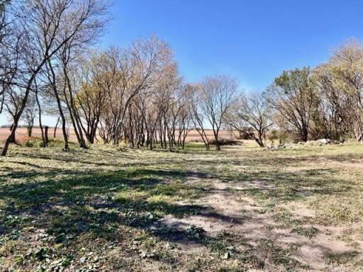 Photo for 20460 250th Street, Lucan, MN 56255 - Listing #6416128 20460 250th Street, Lucan, MN 56255