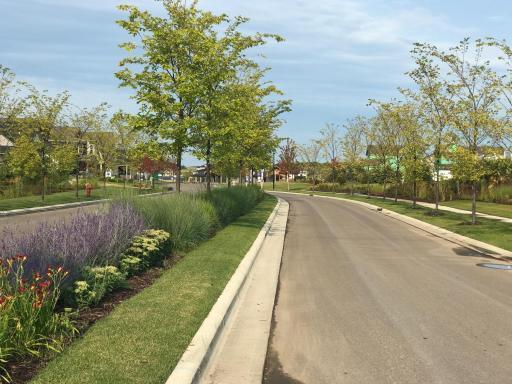 22. Treeslined Streets - Avonlea.jpg