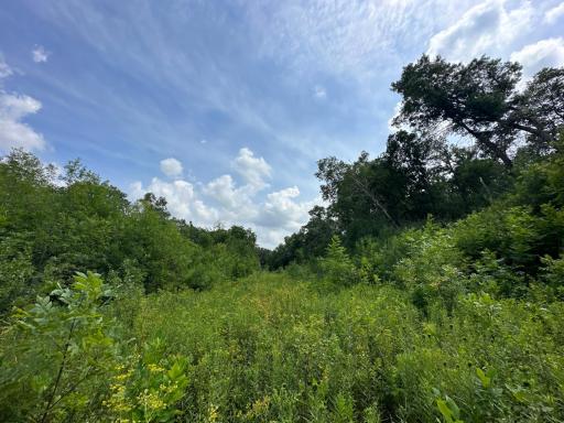 xxxx 55th Street SW, Byron, MN 55920
