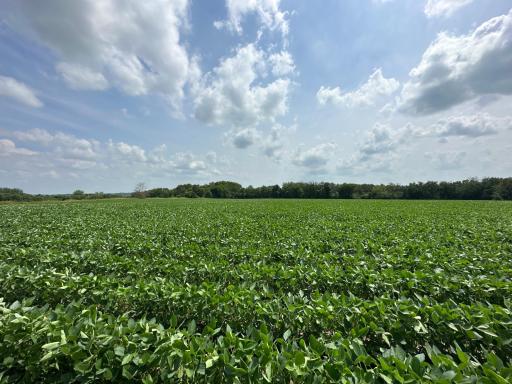 xxxx 55th Street SW, Byron, MN 55920