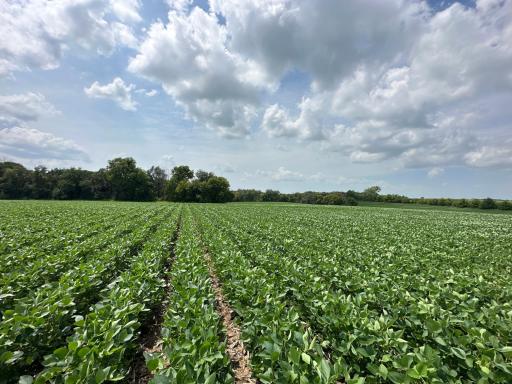 xxxx 55th Street SW, Byron, MN 55920