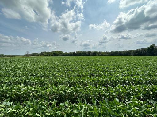 xxxx 55th Street SW, Byron, MN 55920