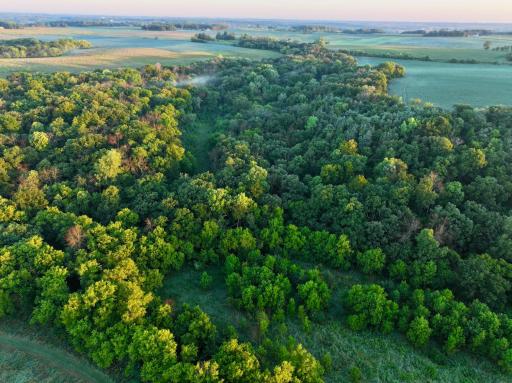 xxxx 55th Street SW, Byron, MN 55920