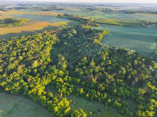xxxx 55th Street SW, Byron, MN 55920