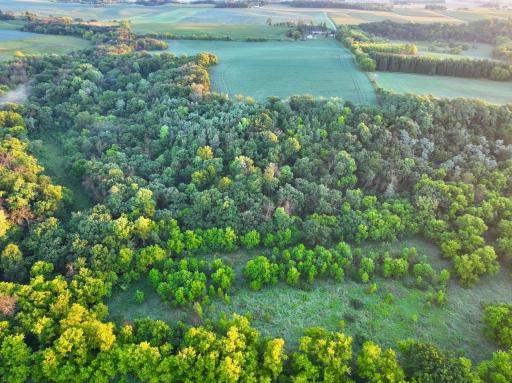 xxxx 55th Street SW, Byron, MN 55920