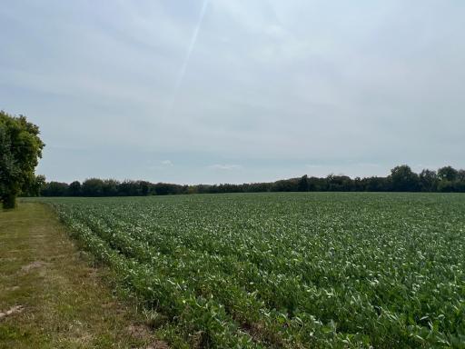 xxxx 55th Street SW, Byron, MN 55920
