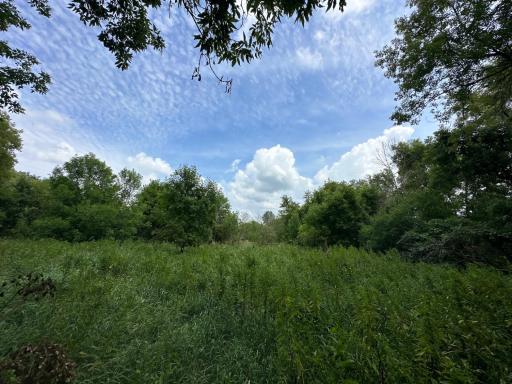 xxxx 55th Street SW, Byron, MN 55920