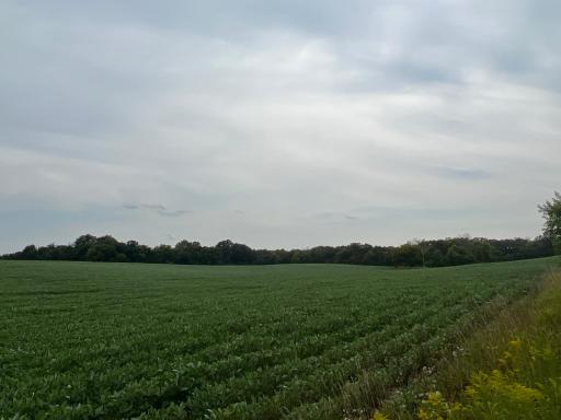 xxxx 55th Street SW, Byron, MN 55920