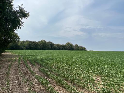 xxxx 55th Street SW, Byron, MN 55920