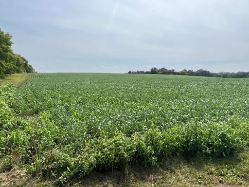 xxxx 55th Street SW, Byron, MN 55920
