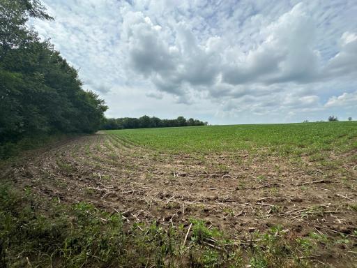 xxxx 55th Street SW, Byron, MN 55920