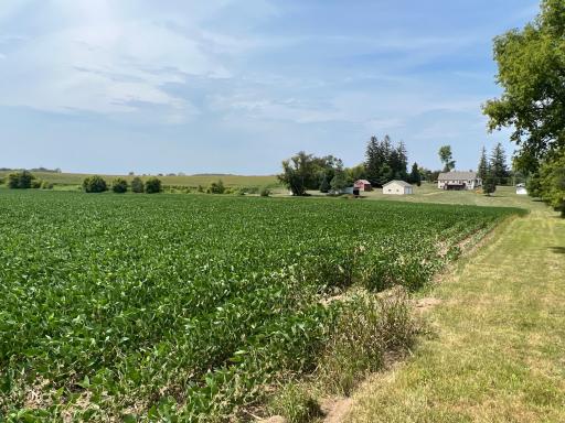 xxxx 55th Street SW, Byron, MN 55920