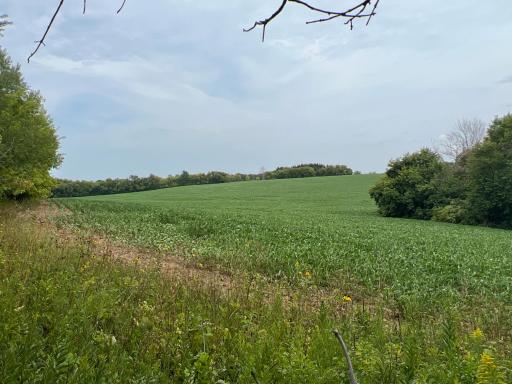 xxxx 55th Street SW, Byron, MN 55920