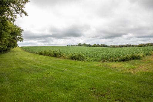 xxxx 55th Street SW, Byron, MN 55920
