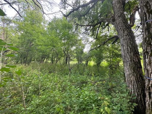 xxxx 55th Street SW, Byron, MN 55920
