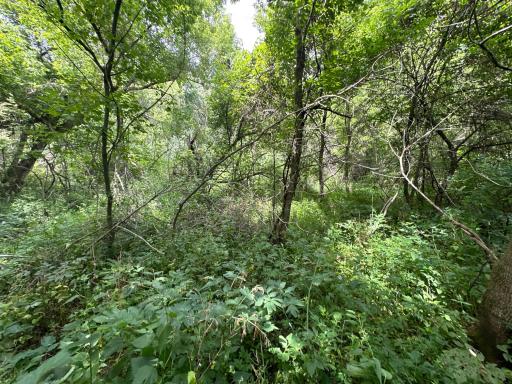 xxxx 55th Street SW, Byron, MN 55920