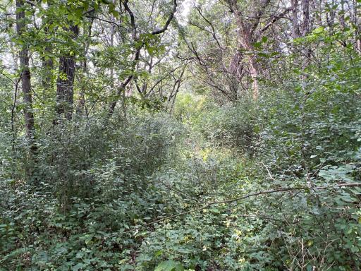 xxxx 55th Street SW, Byron, MN 55920