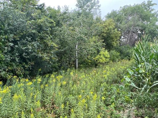 xxxx 55th Street SW, Byron, MN 55920