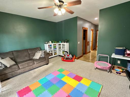 41331 W Elysian Lake Road, Janesville, MN 56048