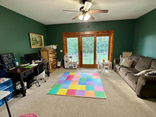 41331 W Elysian Lake Road, Janesville, MN 56048