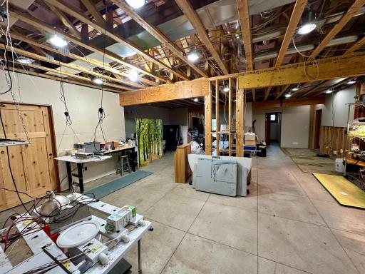 41331 W Elysian Lake Road, Janesville, MN 56048