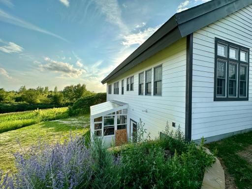 41331 W Elysian Lake Road, Janesville, MN 56048