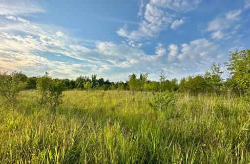 41331 W Elysian Lake Road, Janesville, MN 56048