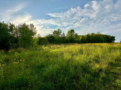 41331 W Elysian Lake Road, Janesville, MN 56048