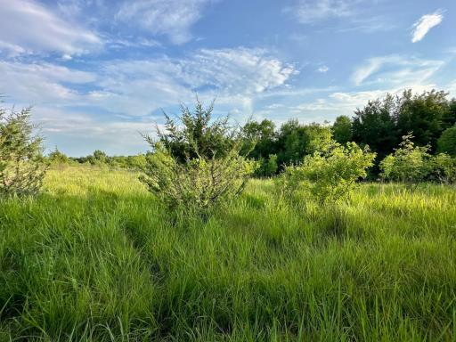 41331 W Elysian Lake Road, Janesville, MN 56048