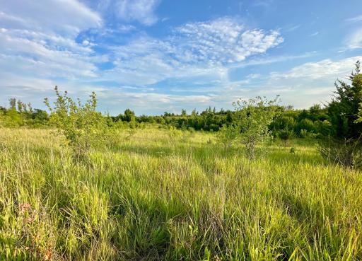 41331 W Elysian Lake Road, Janesville, MN 56048