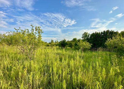 41331 W Elysian Lake Road, Janesville, MN 56048