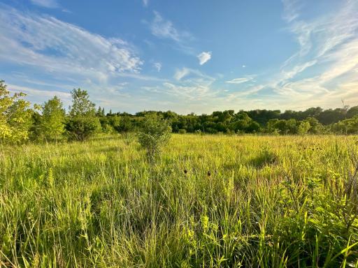 41331 W Elysian Lake Road, Janesville, MN 56048