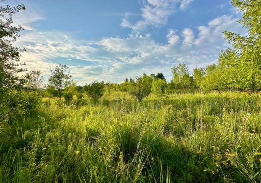 41331 W Elysian Lake Road, Janesville, MN 56048