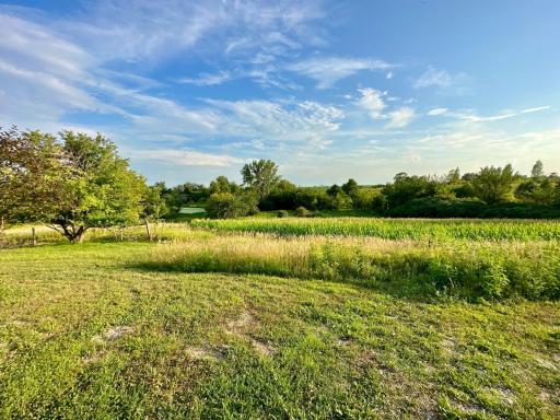 41331 W Elysian Lake Road, Janesville, MN 56048