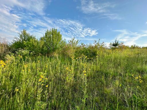 41331 W Elysian Lake Road, Janesville, MN 56048