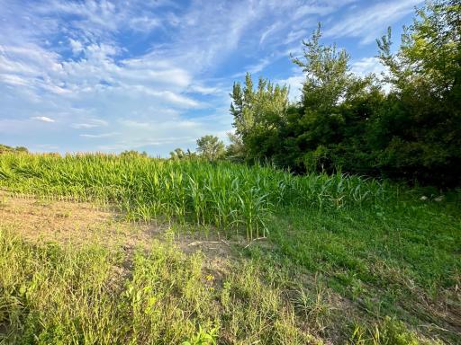 41331 W Elysian Lake Road, Janesville, MN 56048