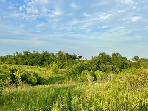 41331 W Elysian Lake Road, Janesville, MN 56048