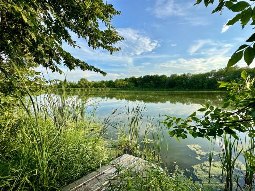 41331 W Elysian Lake Road, Janesville, MN 56048