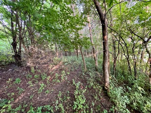 41331 W Elysian Lake Road, Janesville, MN 56048