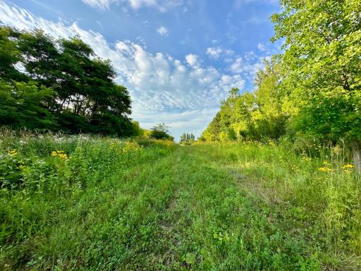 41331 W Elysian Lake Road, Janesville, MN 56048
